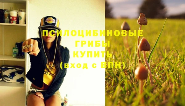 марки nbome Нефтекумск