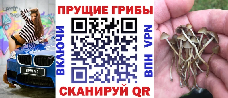 Галлюциногенные грибы мицелий  Купить где  Миллерово 